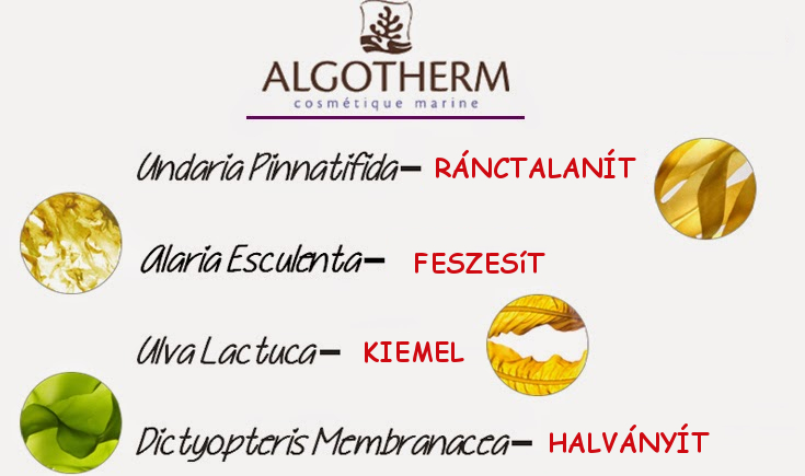 algotherm anti age, algotime, antiage, ránctalanítás